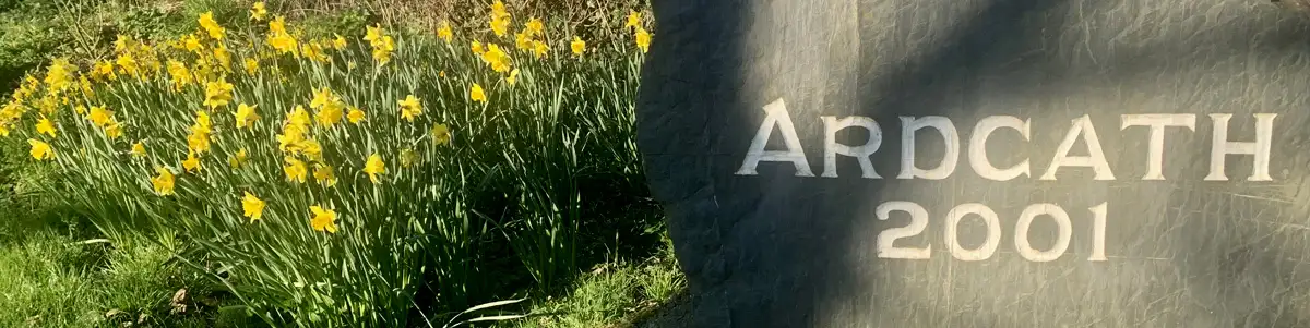 Personalized Boyne Valley Tour